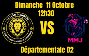 Les Lionnes