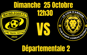 Les Lionnes