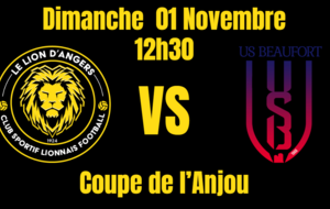 Les Lionnes